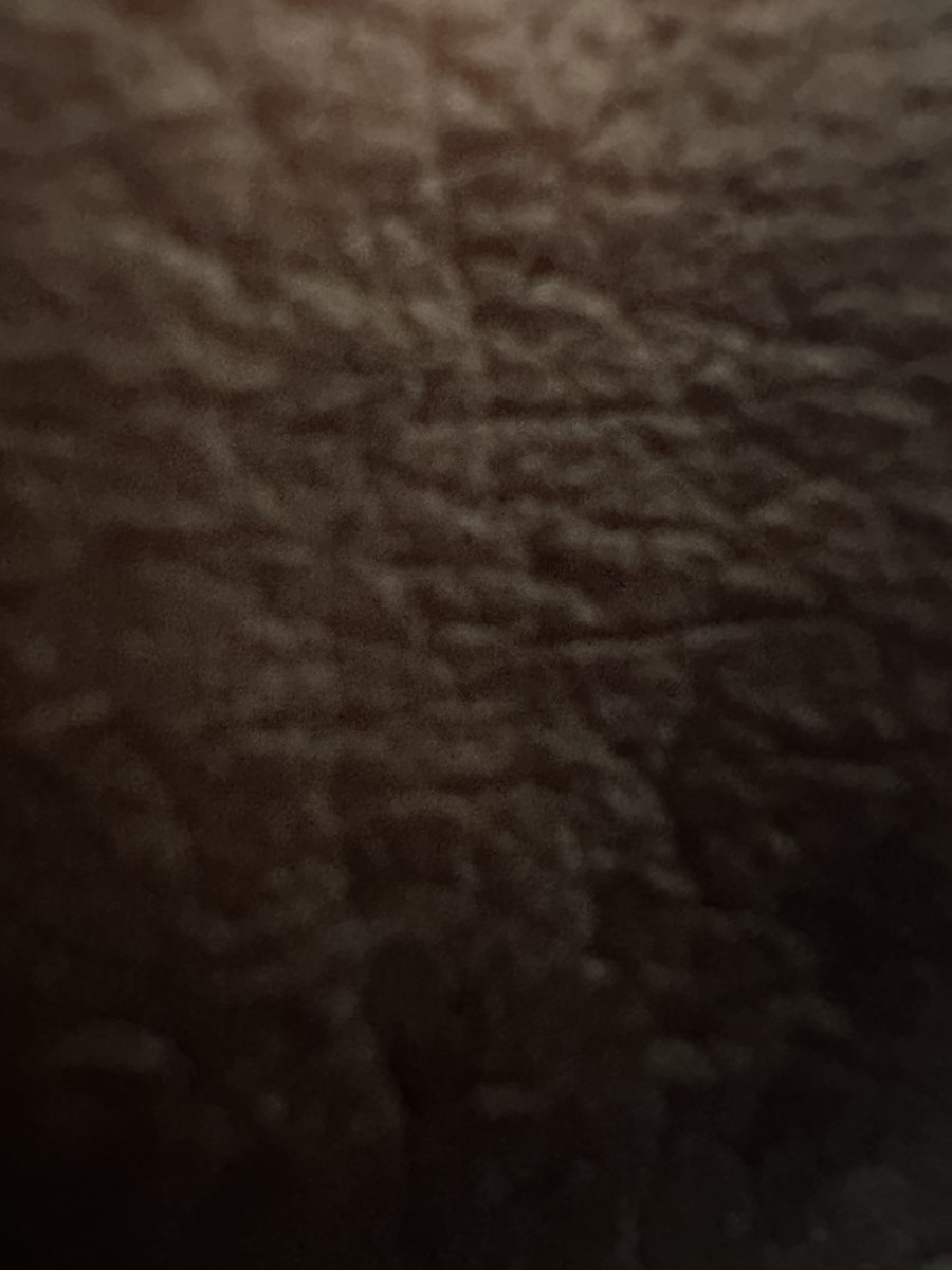 Daryl D. tweet media