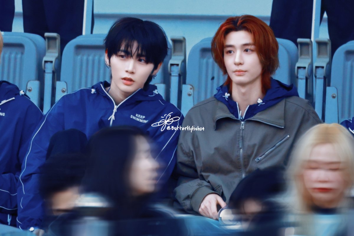 나비피쉬 tweet media