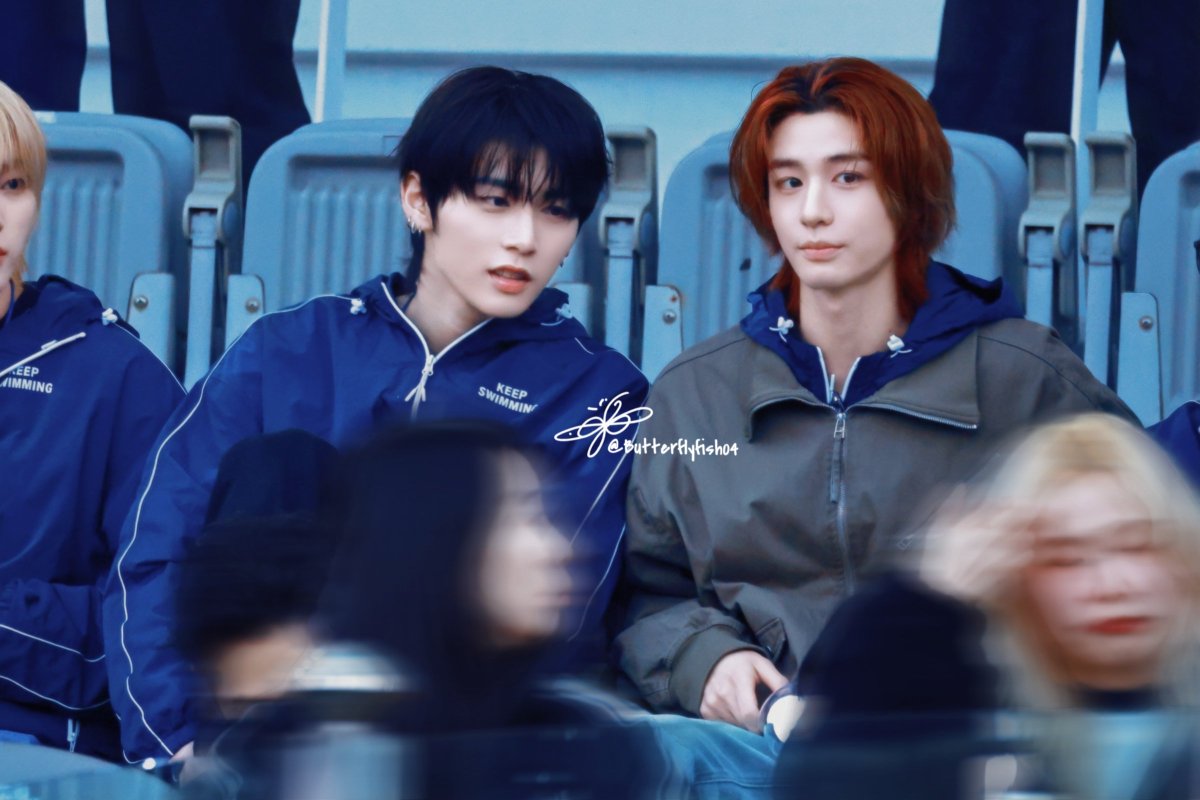 나비피쉬 tweet media