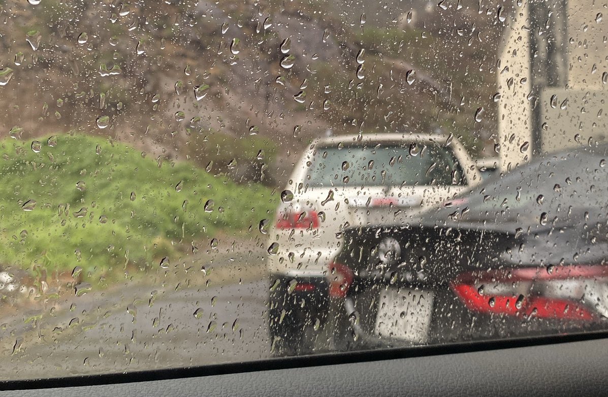 شكسبيرة tweet media