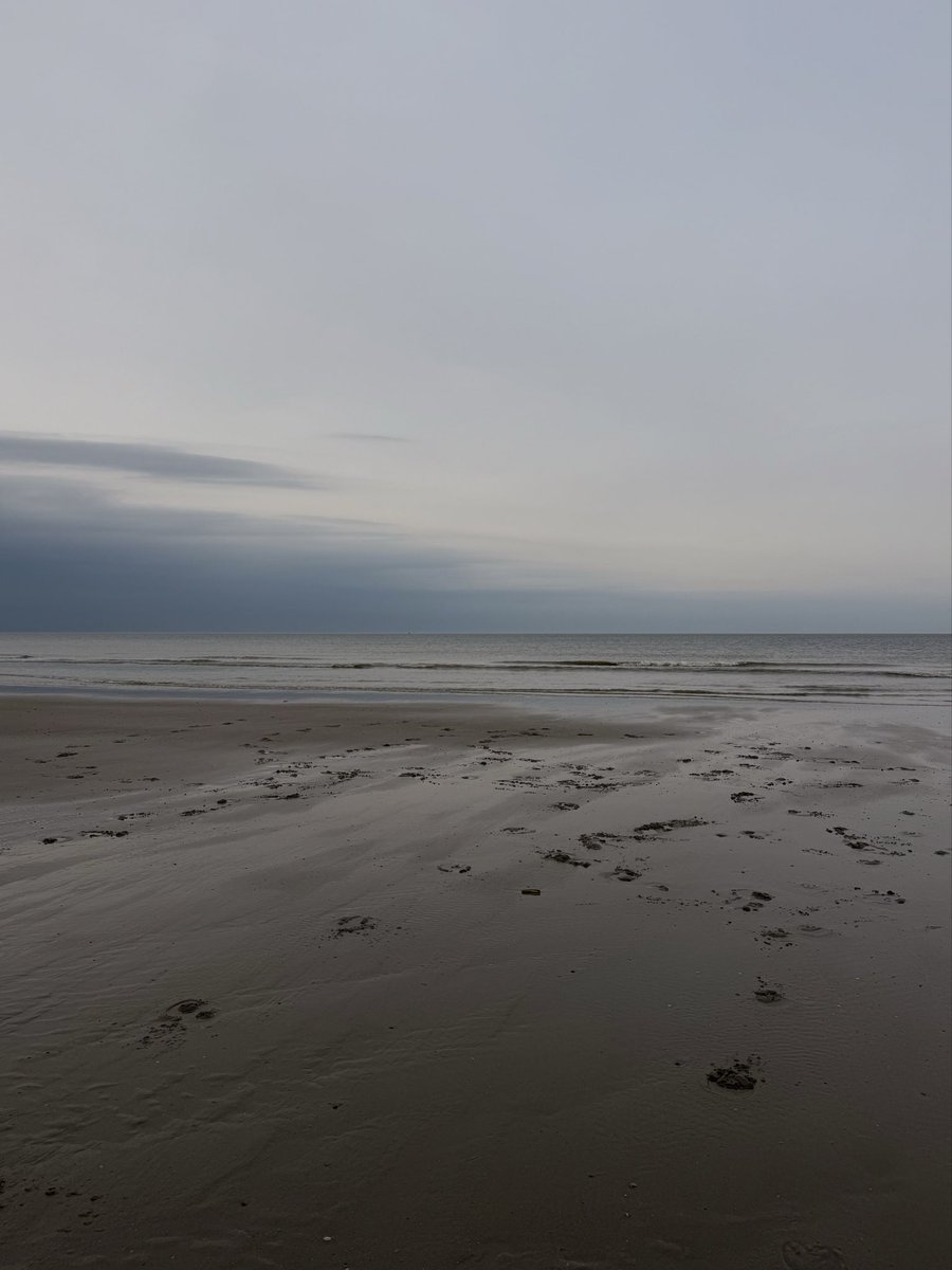 Eenzaam

Het strand ligt verlaten, grijs onder een lage hemel,  
het zand zuigt aan mijn voeten als een koude treurnis.  
Geen andere voetstappen, alleen de mijne,  
langzaam vervagen ze in het natte zand.
De golven fluisteren namen die ik ooit kende,  
maar de wind neemt ze mee,