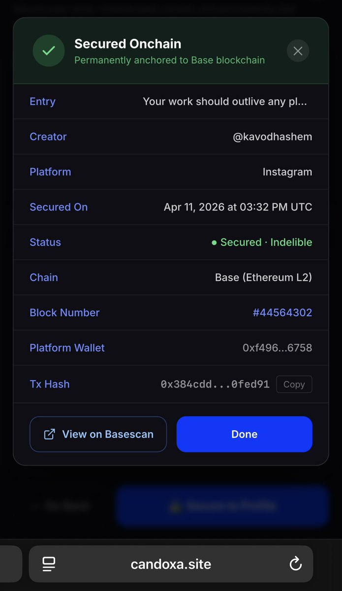 ADEKOYA P. BEST tweet media