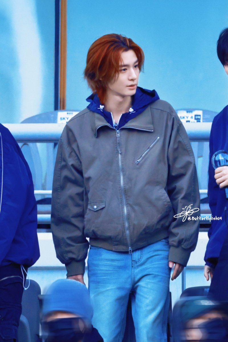 나비피쉬 tweet media