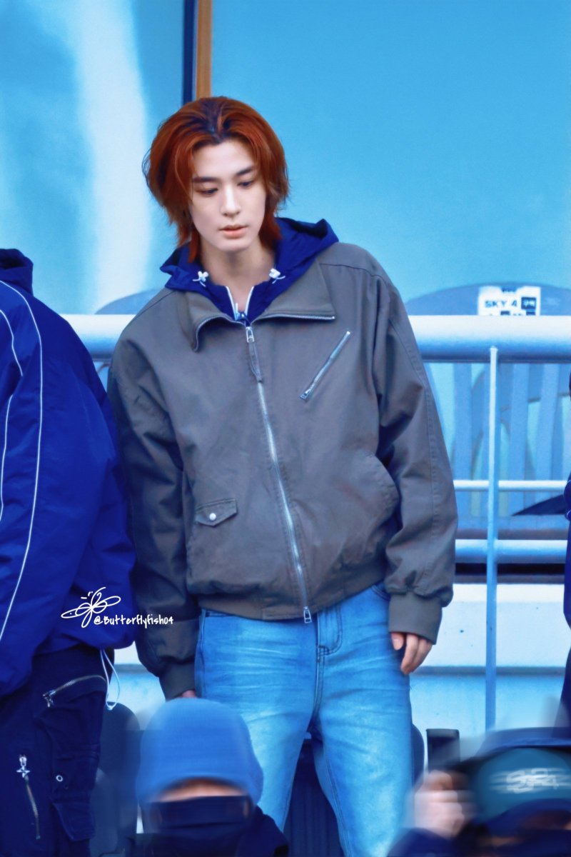 나비피쉬 tweet media