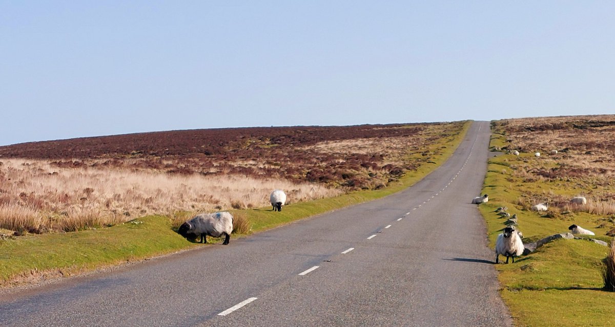 David Storey tweet media