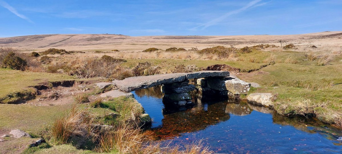 David Storey tweet media