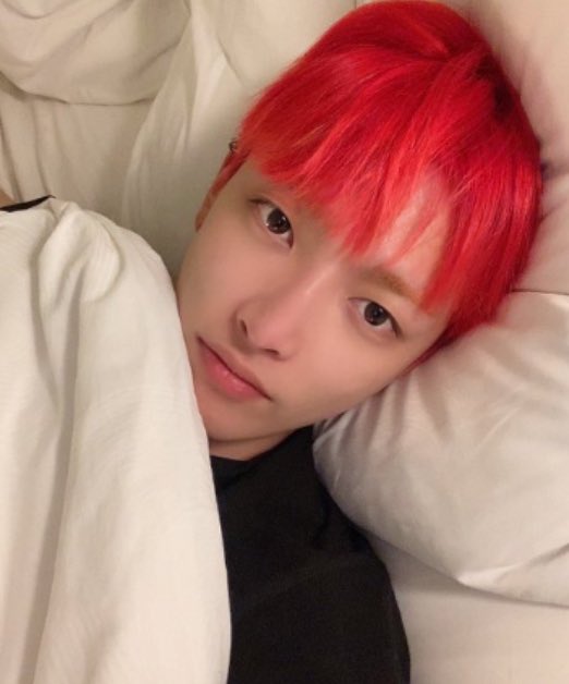 몽길 tweet media