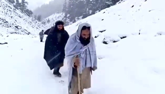 سیداحمد tweet media