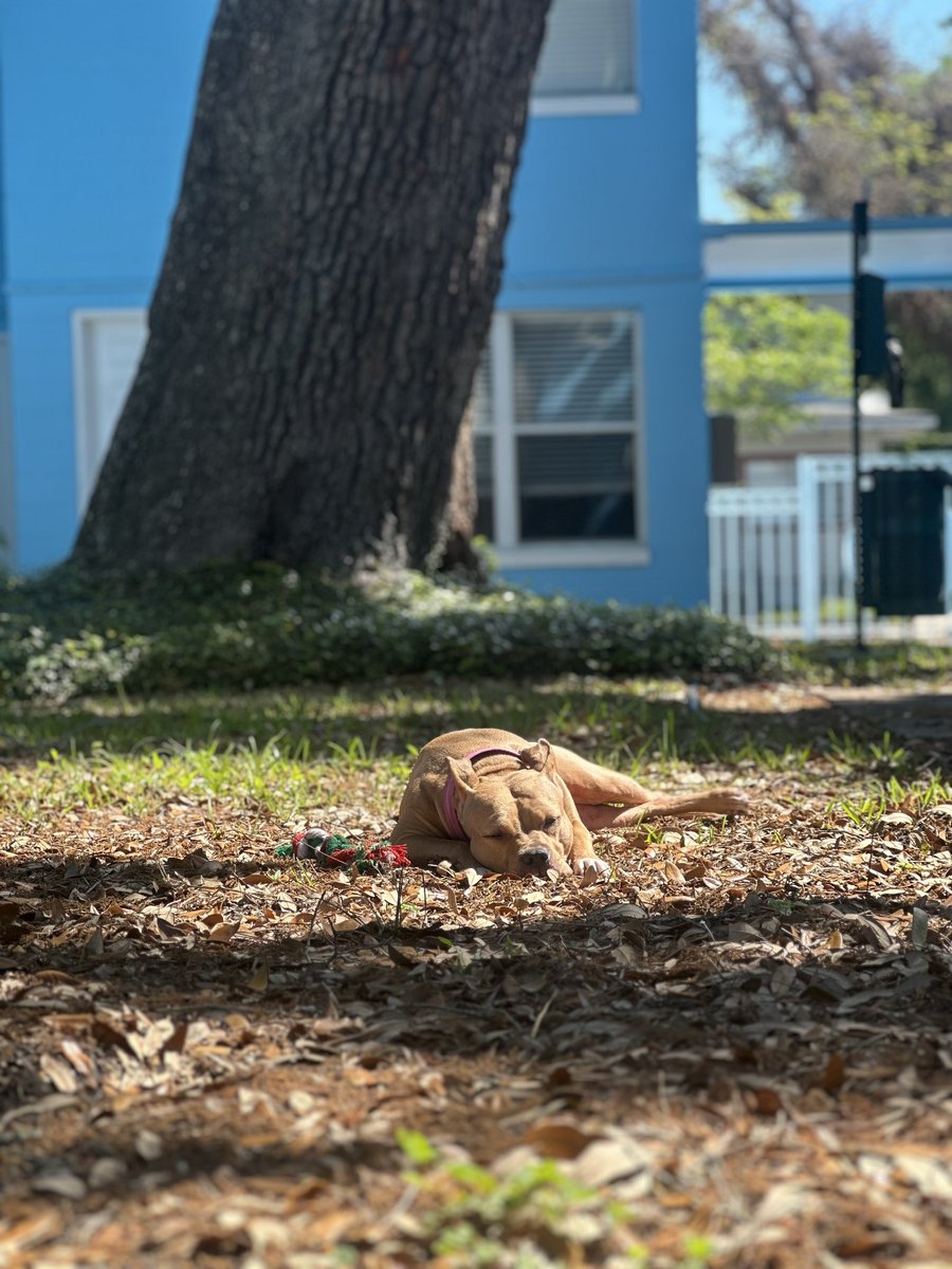 ⠂VIИCΞИΓ⠐ tweet media