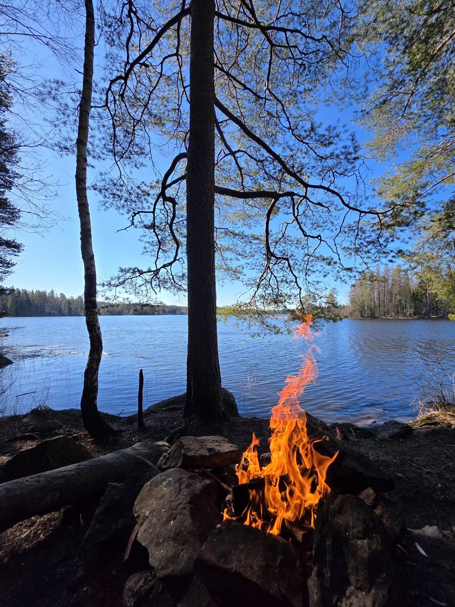 ArKivikoski's tweet photo. Parasta lauantain viettoa, metsälenkin jälkeen tulille nuorimman kanssa. 
Ihana päivä. ❤️ https://t.co/BM7mGO13De