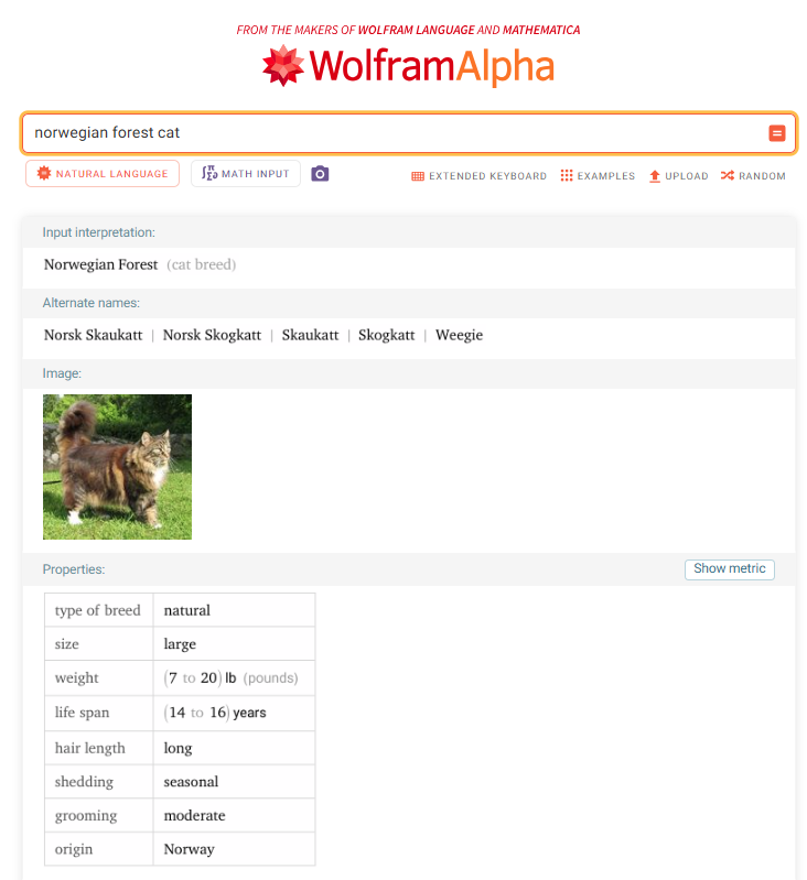 Wolfram_Alpha's tweet photo. It's National Pet Day! 
Give your pets some extra love today. 
Drop a pic of your pet in the replies below! 🐱🐶 https://t.co/RgKcUfpHH3