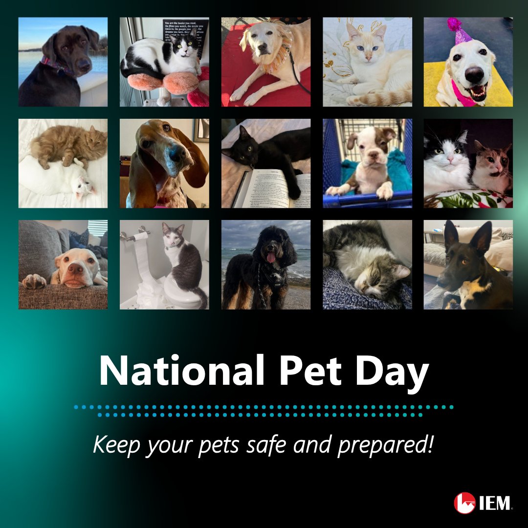 IEM News tweet media