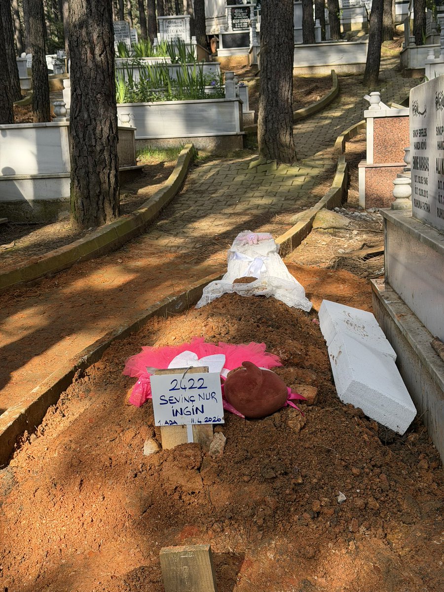 Ali Haydarރ58 tweet media