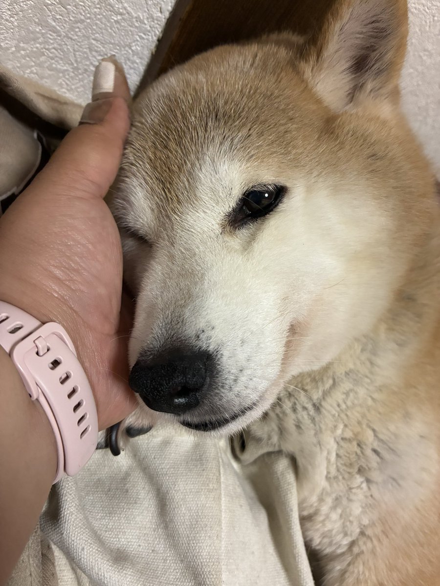 ろはちゃん🍺🖤 tweet media