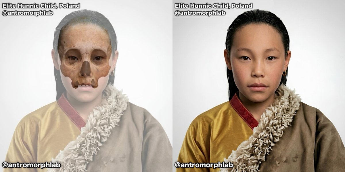 AntromorphLab tweet media