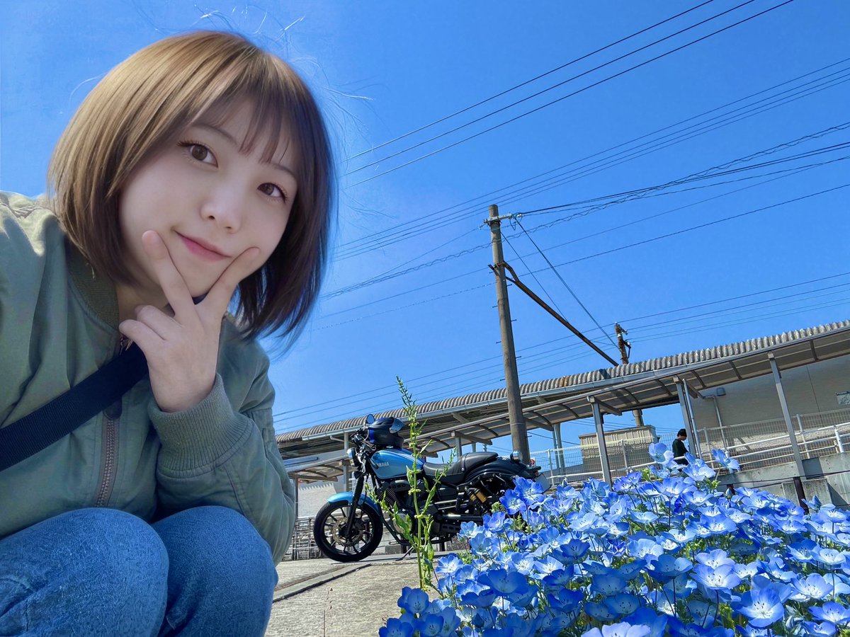 まる。 tweet media