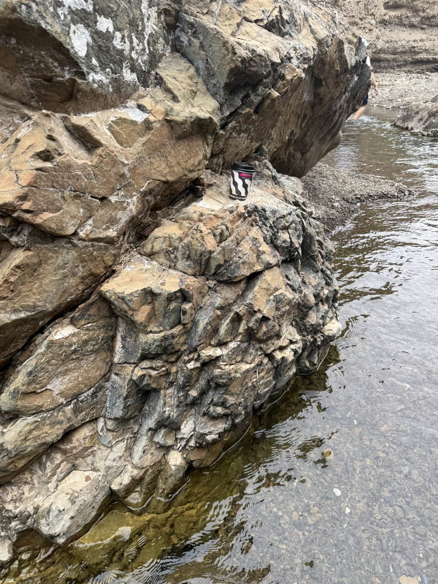 MohdEssa tweet media