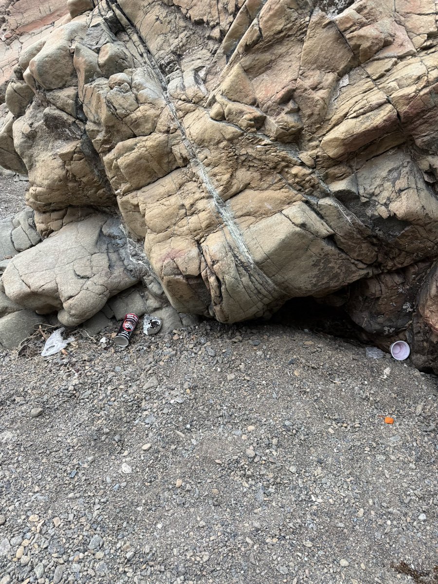 MohdEssa tweet media