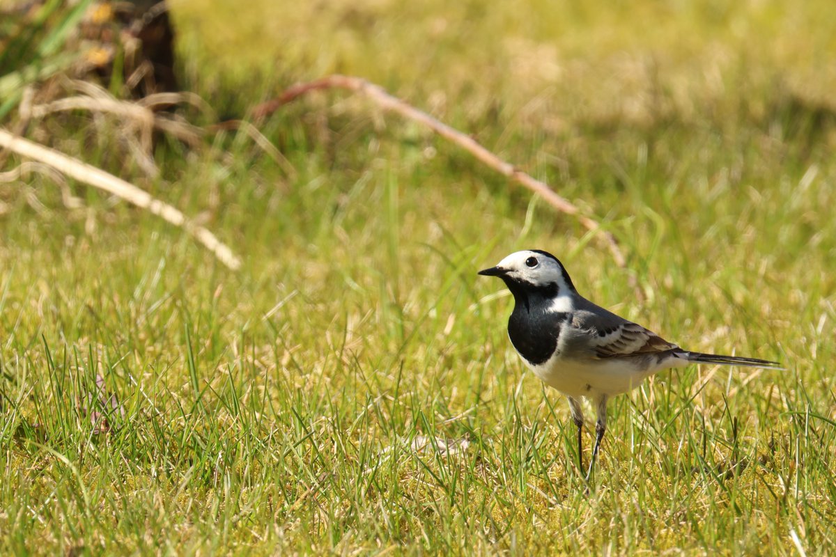 Sintija Valucka tweet media