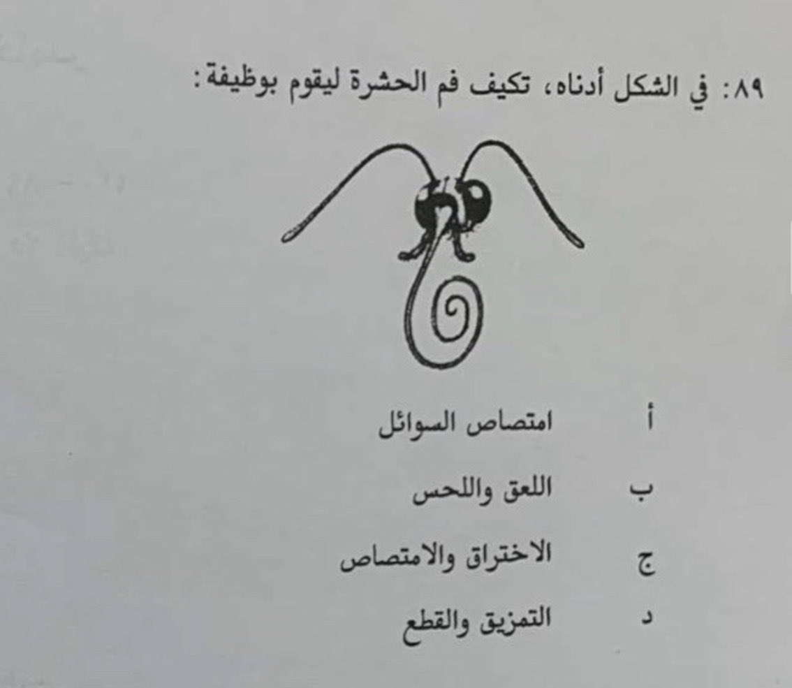 Ali S tweet media