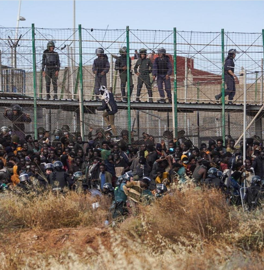 Paul Weston tweet media