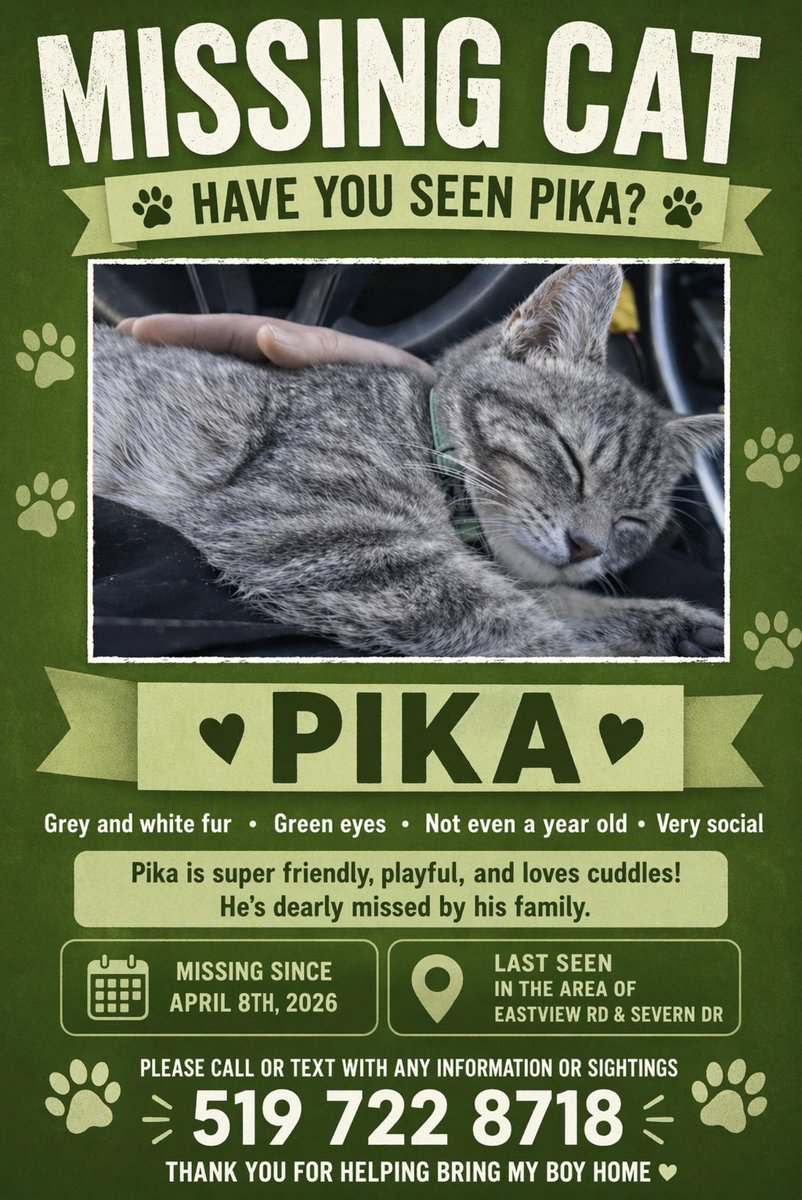 Guelph Lost Pets tweet media