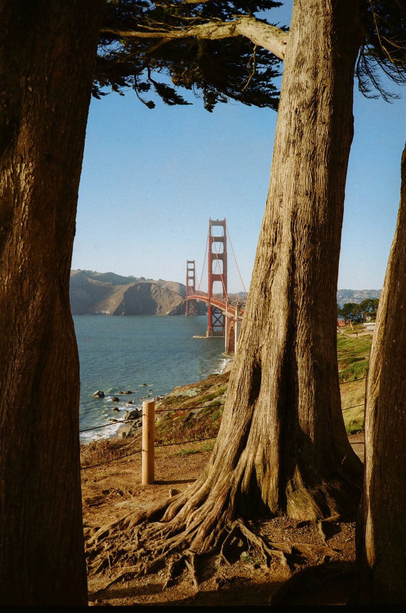 Michael Boegl tweet media