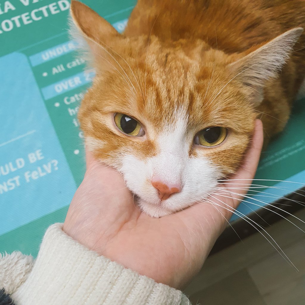 빛과 소금이 tweet media