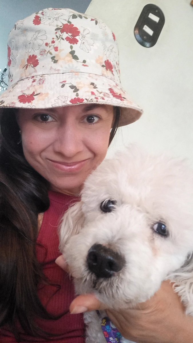 karelisjvc's tweet image. 🐾1️⃣1️⃣ Abril 2️⃣0️⃣2️⃣6️⃣🐾
Sábado...

...de paseo con ella, la Perla del Caribe, ¡Perlita! 😜🥰🐩💞
¡Buenos días! 🤗🍬🌲🌴
#LetsGo 🪶
#mypet #mydog #cute #love