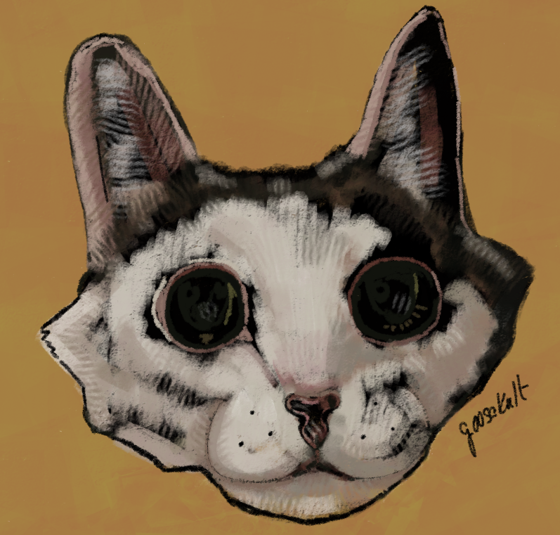 GooseKult tweet media