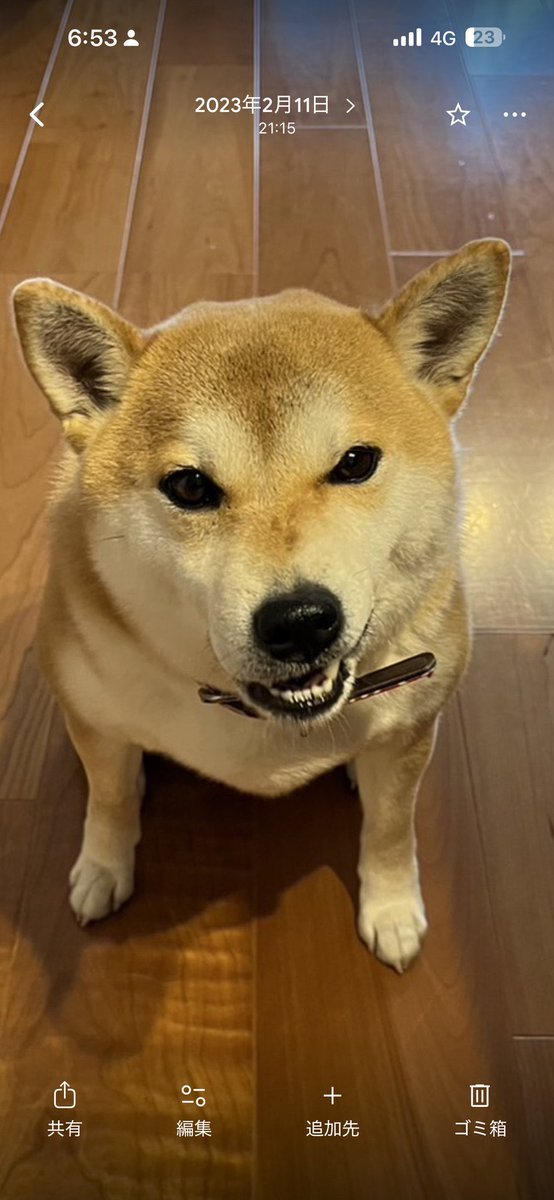 あうあう tweet media