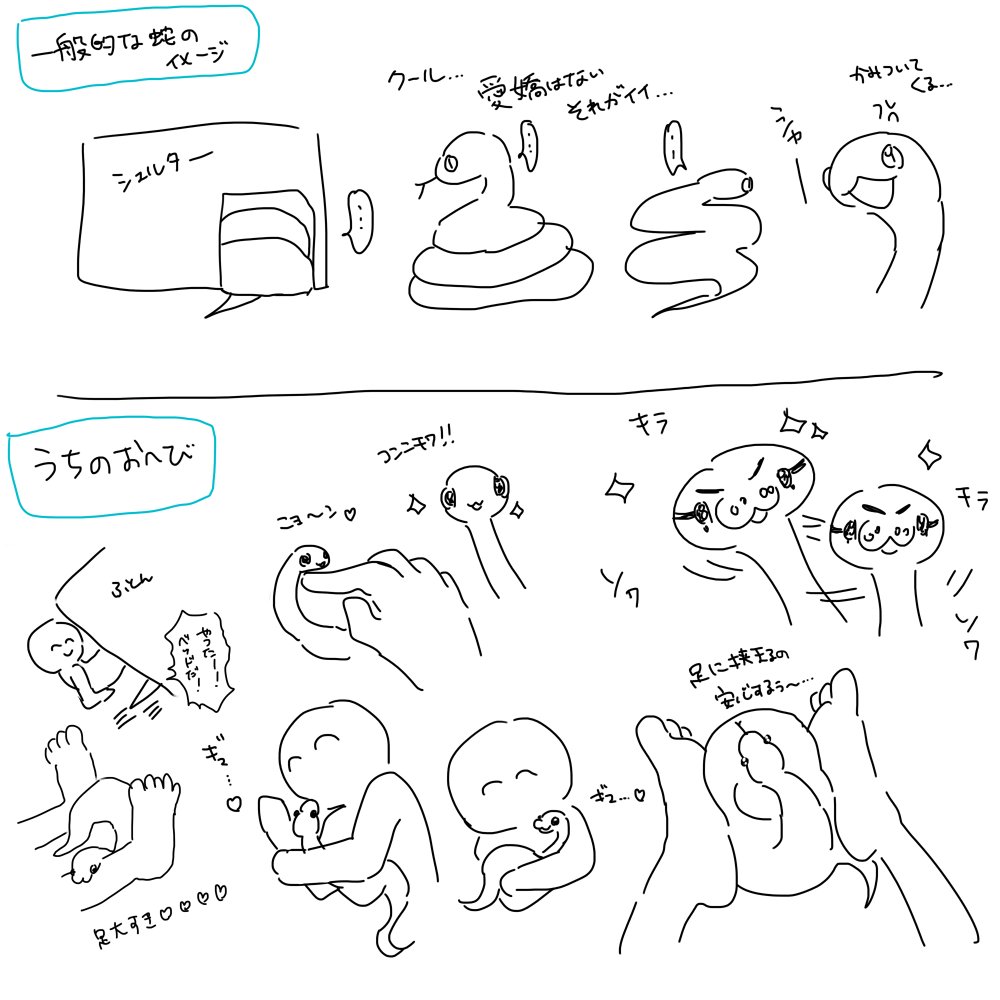 のちゅ tweet media