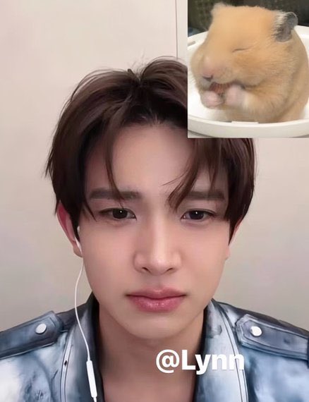 heevan lee | en only 7 tweet media