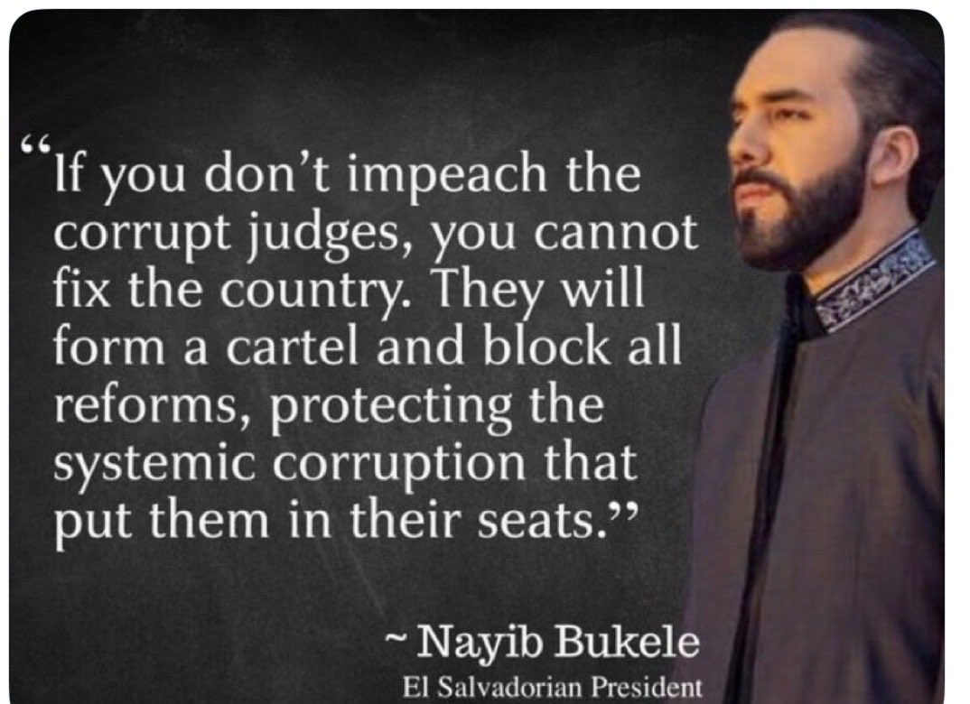 3Pups 🇺🇸 tweet media