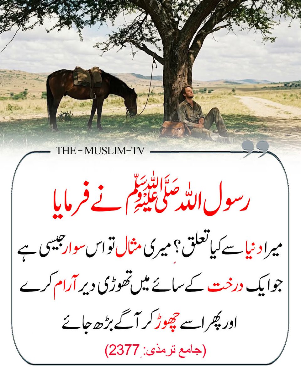 Sayed Ajmal khan tweet media