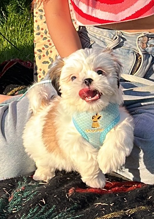 DNVP 💋 (Malonfamily) tweet media