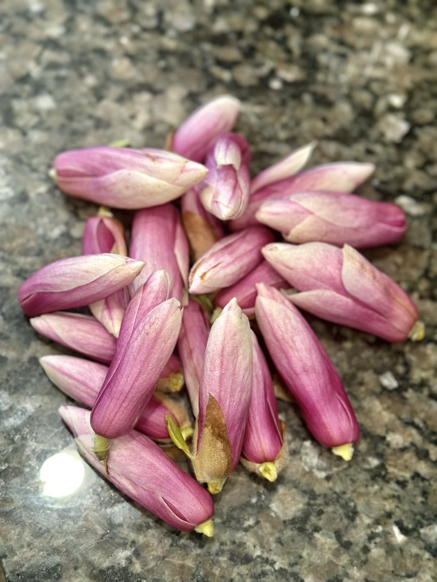 Commy [いなわら亭] tweet media