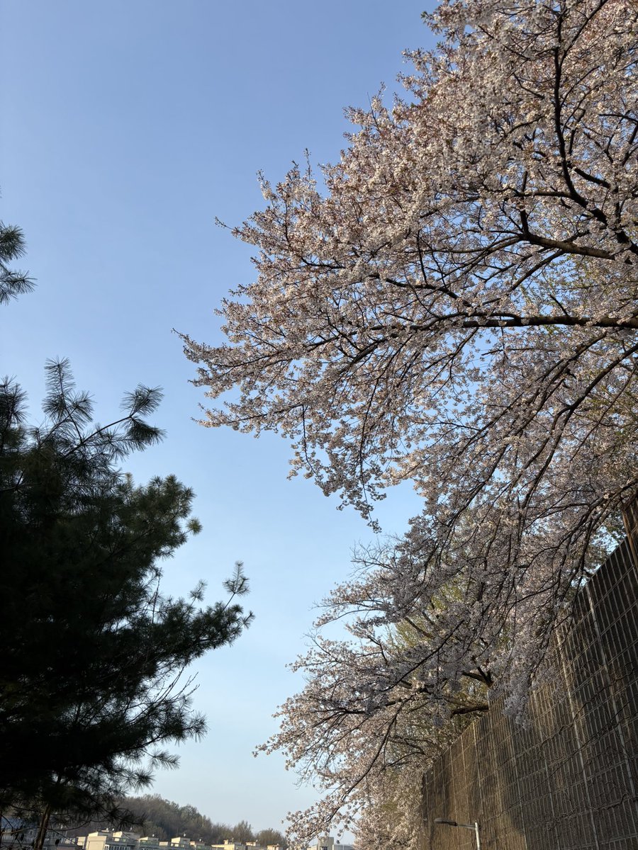 감zzㅏ🧣 tweet media