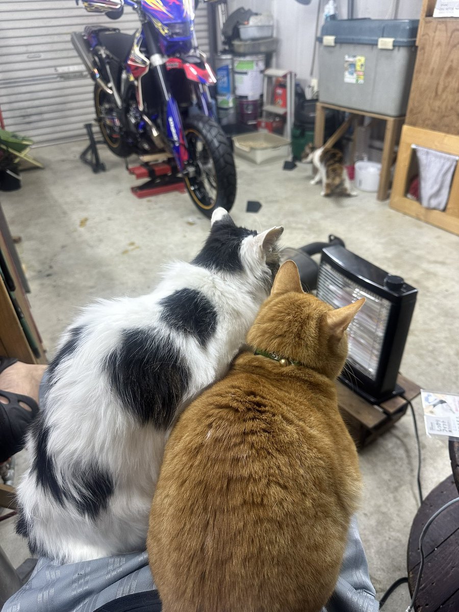 T-RACING-EP3 tweet media