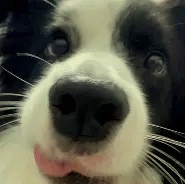 De Block tweet media