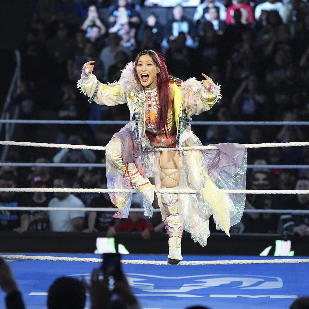 𝗟𝗲 𝗧𝗲𝗺𝗽𝗹𝗲 𝗗𝘂 𝗖𝗮𝘁𝗰𝗵 tweet media