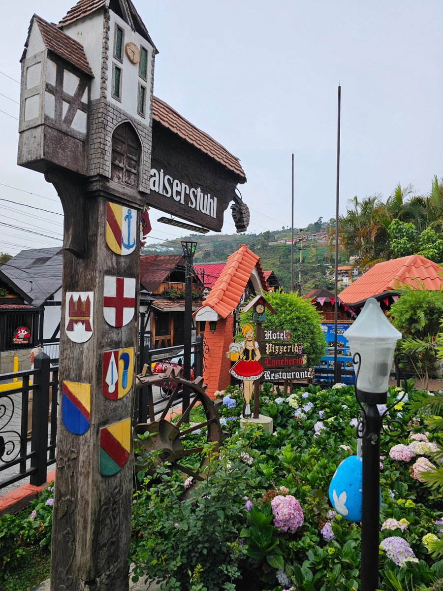 𝙃 𝙀 𝙍 𝙇 𝙄 𝙕 tweet media