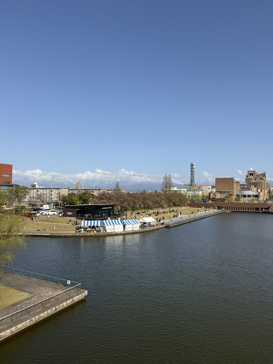 おうかちゃん tweet media