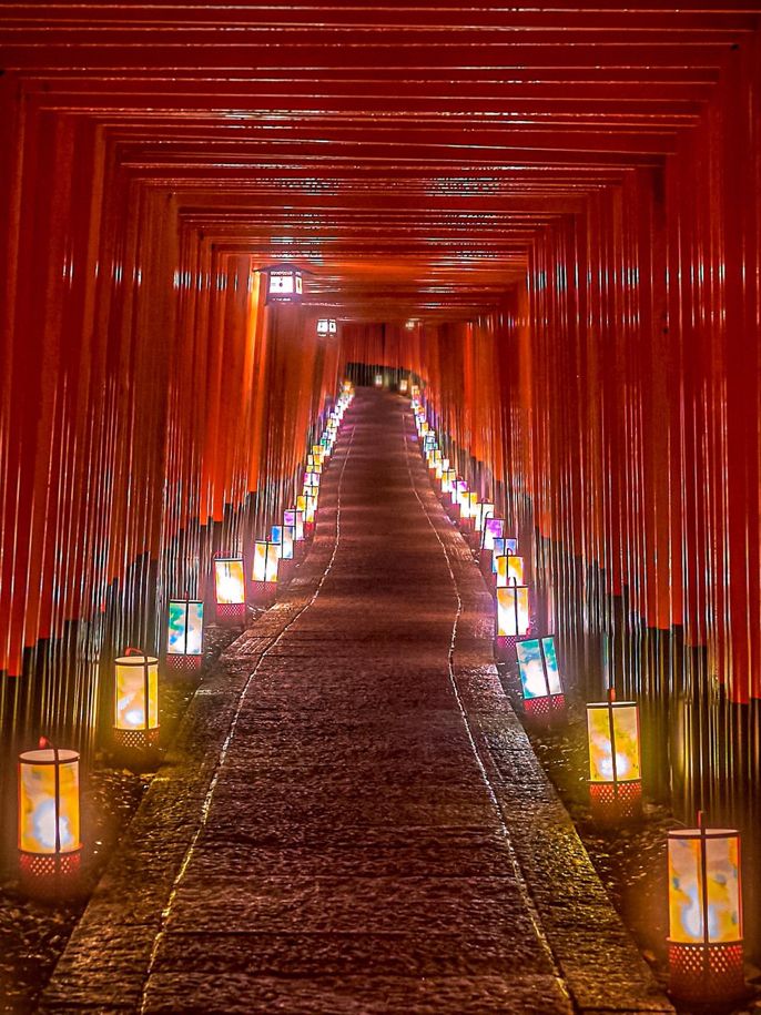 ☀︎☆・yumi.☆☀︎ tweet media