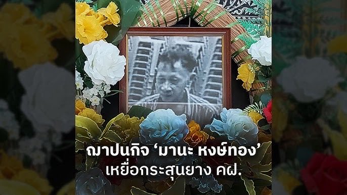 บว.、 #หยุดคุมขัง 🕊🐻‍❄️ tweet media