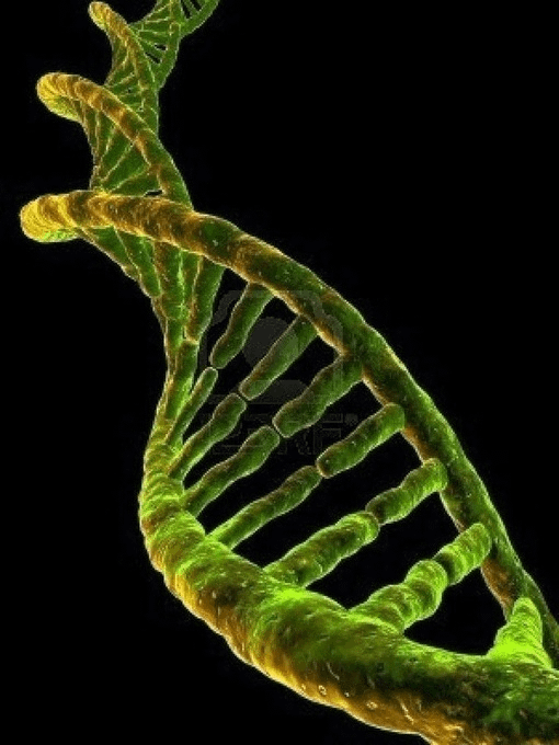 Chronic stress is linked to:

• Heart disease
• Alzheimer's
• Autoimmune disorders

After 20+ years helping 500+ executives and professionals…

Here are the only 7 ways that actually eliminate chronic stress:

1. Walk without your phone or music (20 min)