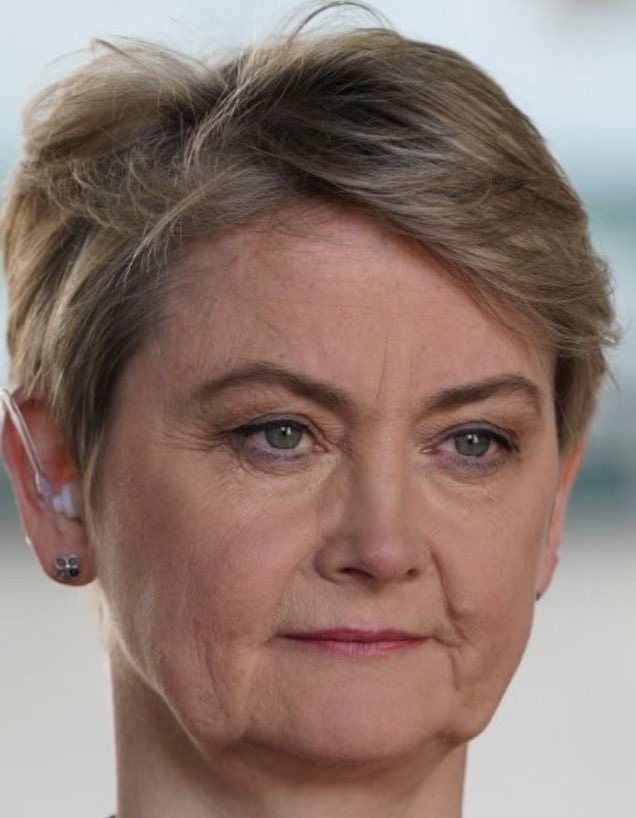 Mountain tweet media