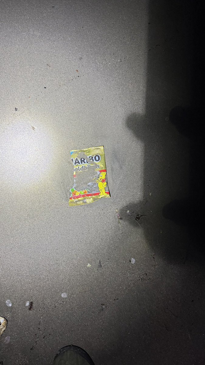 🍪🍩🐣さとちゃん🐟🍫🍦 tweet media