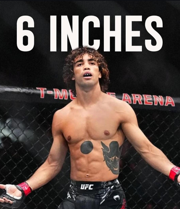 MMA FIXED tweet media