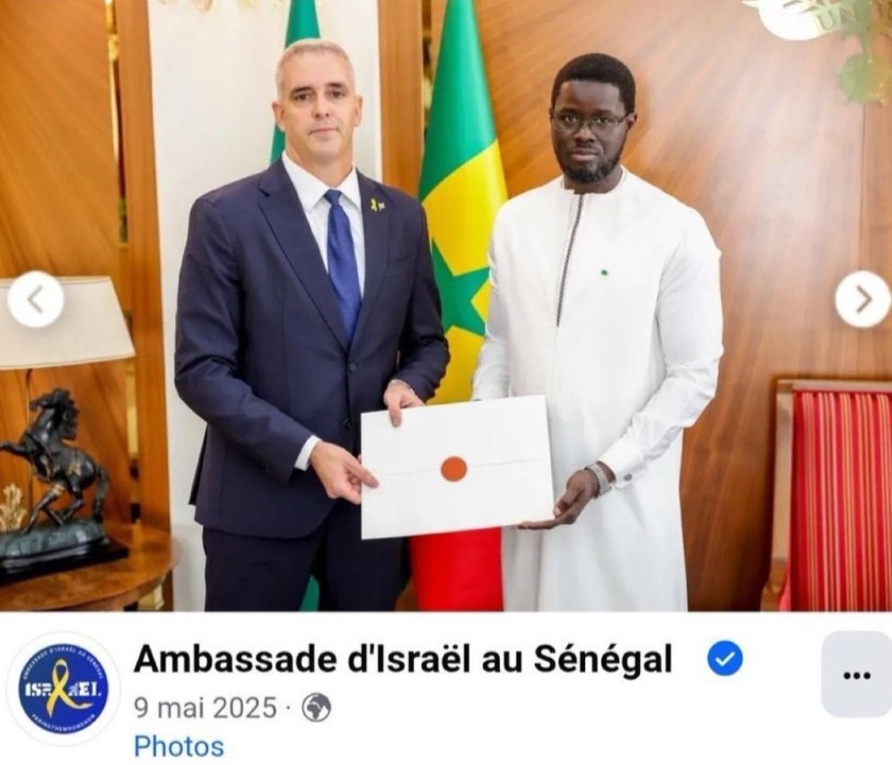 🇲🇦 tweet media